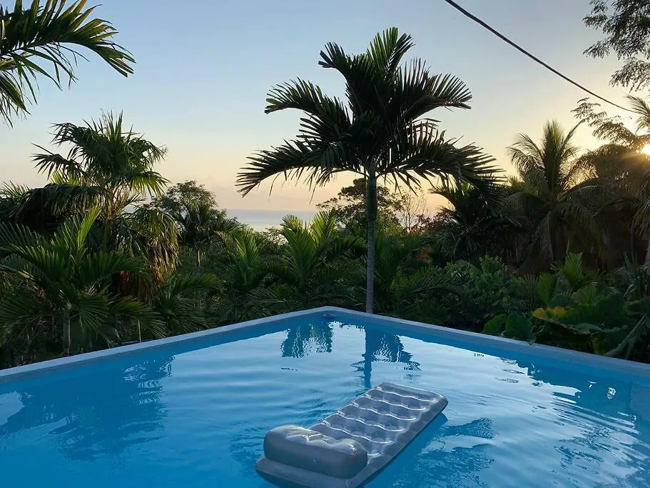 Apartment Idyllic Ocean View Apt @ The Coconut Palm Villa Ocho Rios