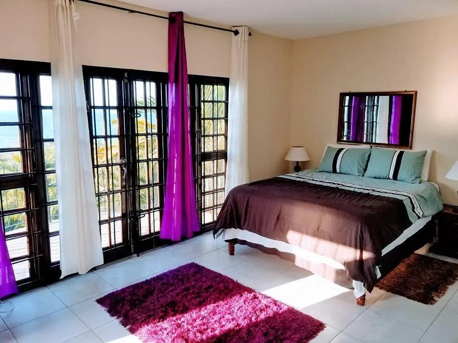 Apartment Idyllic Ocean View Apt @ The Coconut Palm Villa Ocho Rios