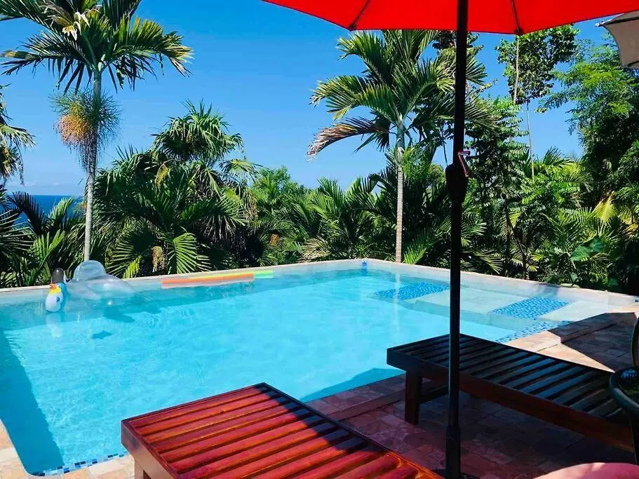 Idyllic Ocean View Apt @ The Coconut Palm Villa Ocho Rios 0*,