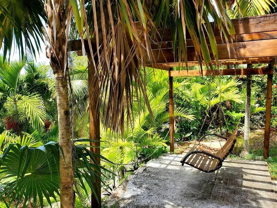 Idyllic Ocean View Apt @ The Coconut Palm Villa Ocho Rios Jamaica