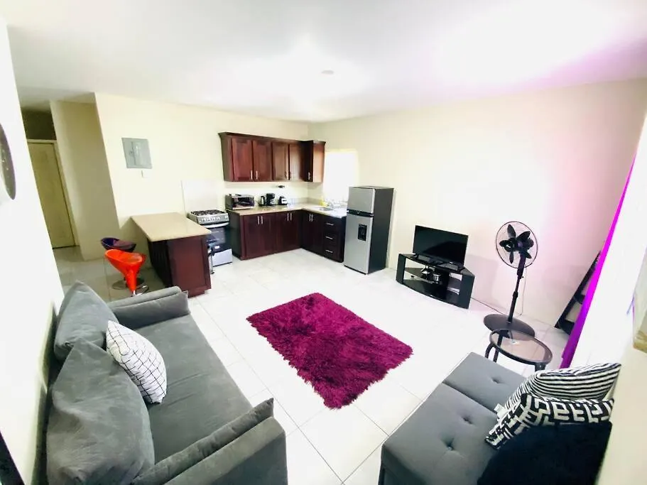 Apartment Idyllic Ocean View Apt @ The Coconut Palm Villa Ocho Rios Jamaica