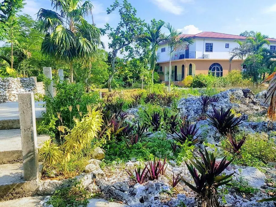 Idyllic Ocean View Apt @ The Coconut Palm Villa Ocho Rios Apartment